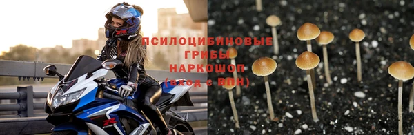 хмурый Абинск
