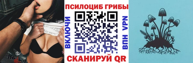 Псилоцибиновые грибы Cubensis  Зеленодольск 