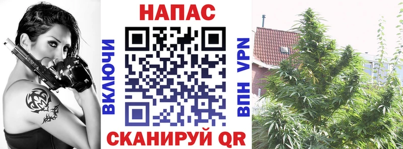 МАРИХУАНА планчик  купить закладку  Зеленодольск 